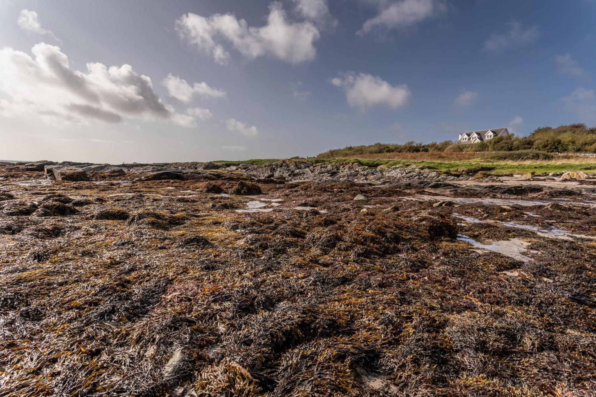 Shorefield, Bruichladdich Esterno foto